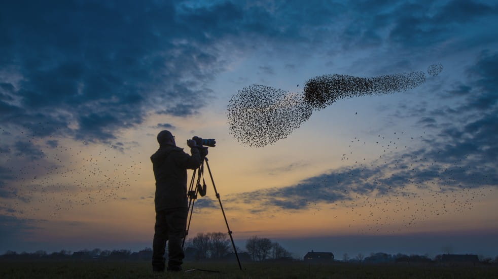 man taking photograph of starling in winter